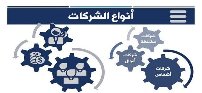 أنواع الشركات في المملكة العربية السعودية