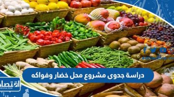 دراسة جدوى مشروع محل خضار وفواكه 2023