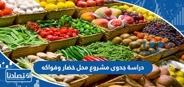 دراسة جدوى مشروع محل خضار وفواكه 2023