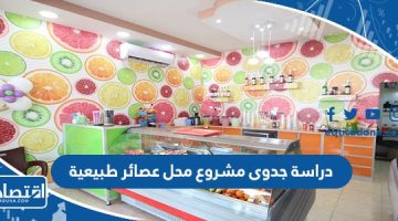 دراسة جدوى مشروع محل عصائر طبيعية كاملة