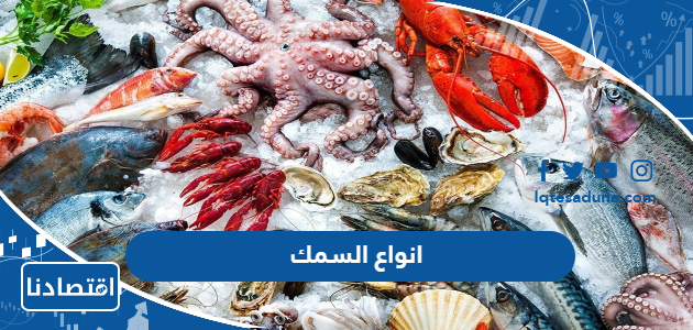 انواع السمك بالصور والاسماء