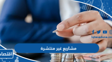 افكار مشاريع غير منتشرة في السعودية 2024